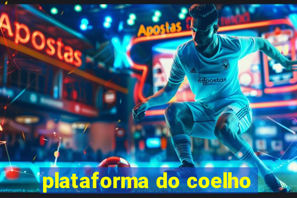 plataforma do coelho